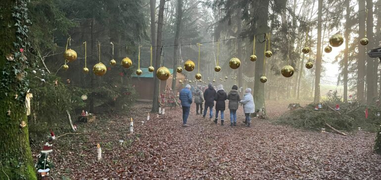 Weihnachtswald im Frauenöder Hölzl (Bericht PNP)