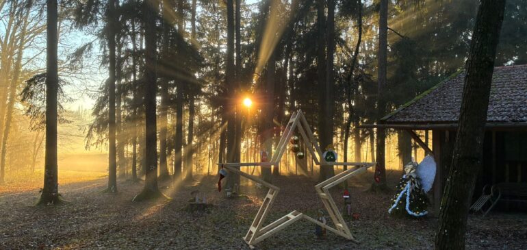 Nöhamer Weihnachtswald öffnet seine Pforten