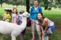 Ferienprogramm „Alpaka-Ranch Haiming“